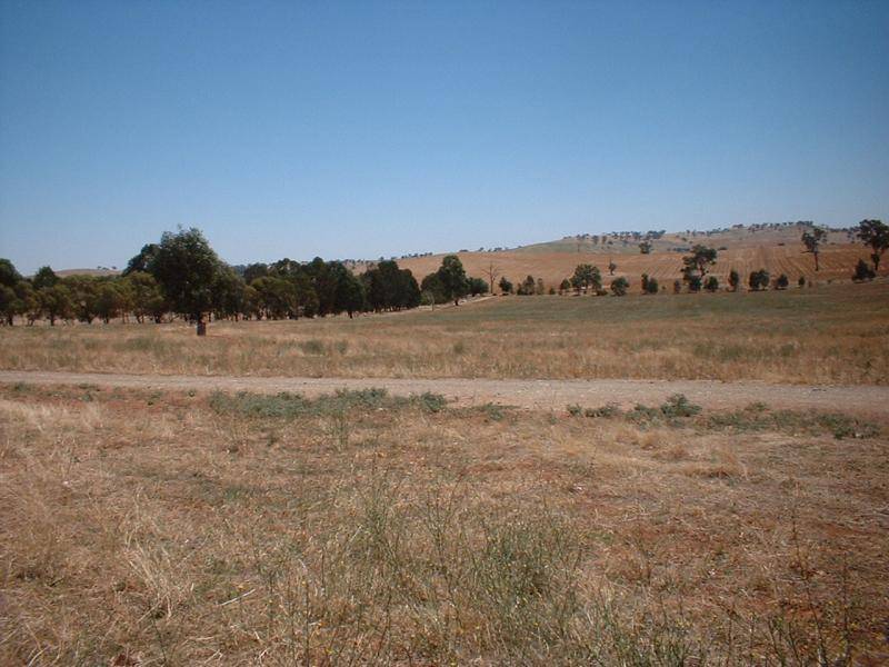 OLD GUNDAGAI ROAD, Cootamundra NSW 2590