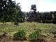 . NETHERLEIGH LANE, Cootamundra NSW 2590
