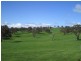 20 kilometres from Harden, Harden NSW 2587