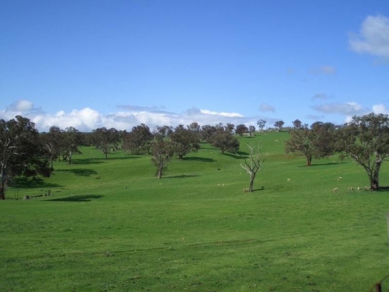 20 kilometres from Harden, Harden NSW 2587
