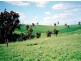 20 kilometres from Harden, Harden NSW 2587