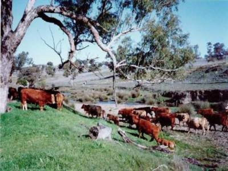 20 kilometres from Harden, Harden NSW 2587