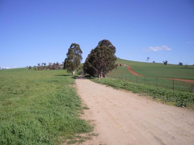 OLD GUNDAGAI ROAD, Cootamundra NSW 2590
