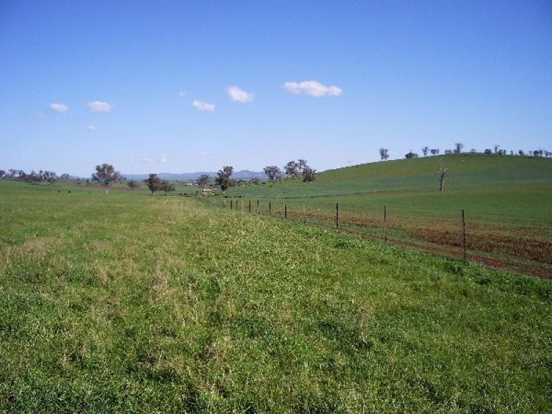 OLD GUNDAGAI ROAD, Cootamundra NSW 2590