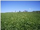 OLD GUNDAGAI ROAD, Cootamundra NSW 2590