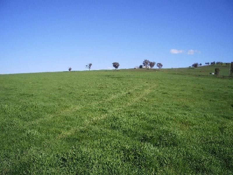 OLD GUNDAGAI ROAD, Cootamundra NSW 2590