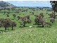 Jugiong NSW 2726