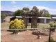 Cootamundra NSW 2590