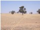 Cootamundra NSW 2590