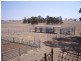 Cootamundra NSW 2590
