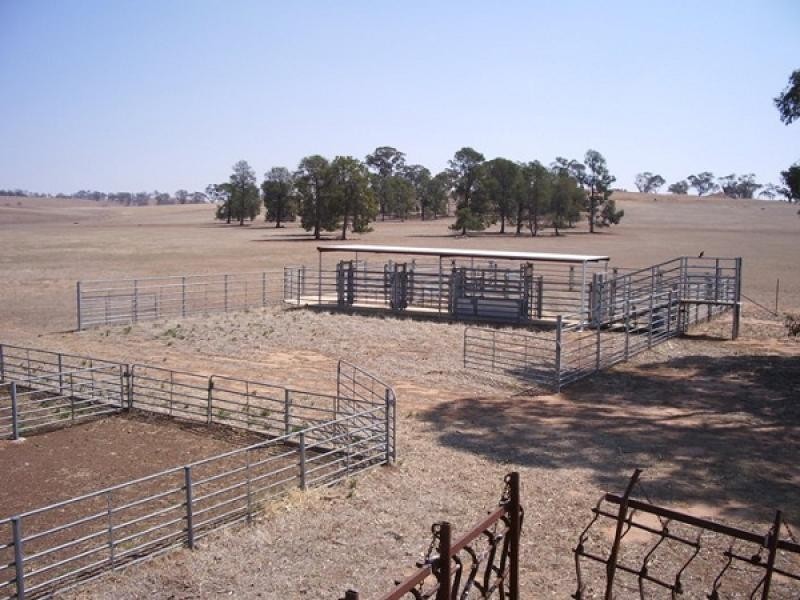 Cootamundra NSW 2590