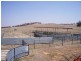 Cootamundra NSW 2590