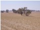 Cootamundra NSW 2590