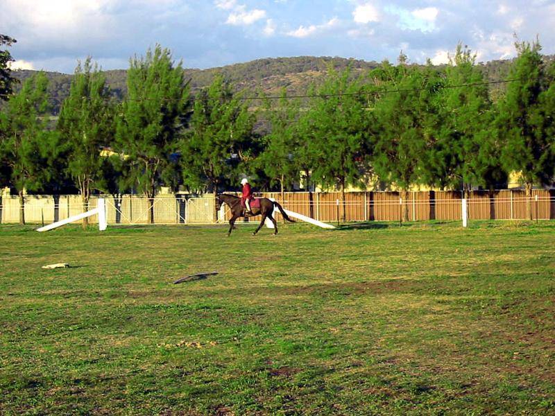 17A KELLY STREET, Scone NSW 2337