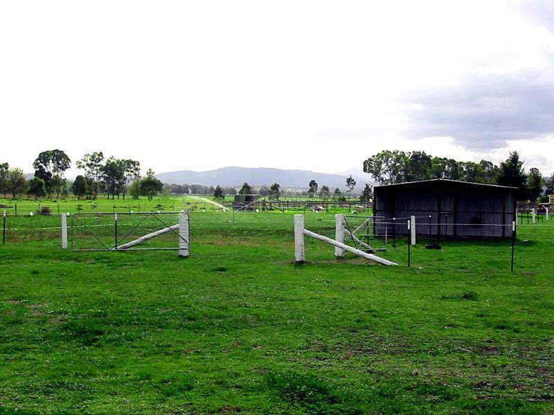 17A KELLY STREET, Scone NSW 2337