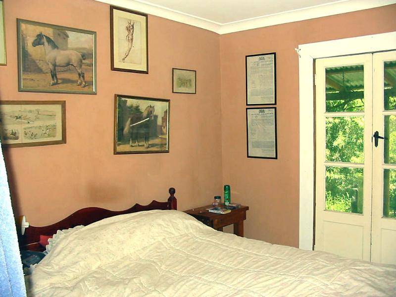 15 FINCH STREET, Blandford NSW 2338