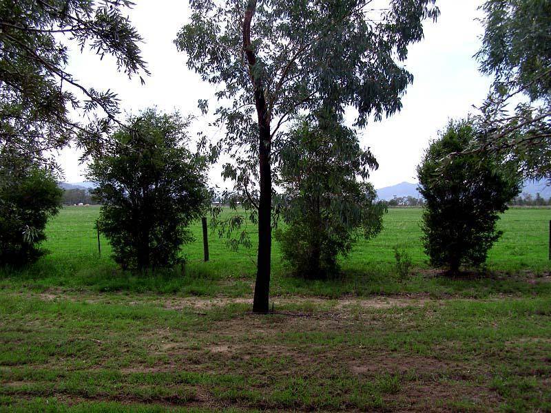 NEW ENGLAND HIGHWAY, Scone NSW 2337