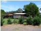Scone NSW 2337