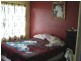 Scone NSW 2337