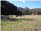 Crawney NSW 2338