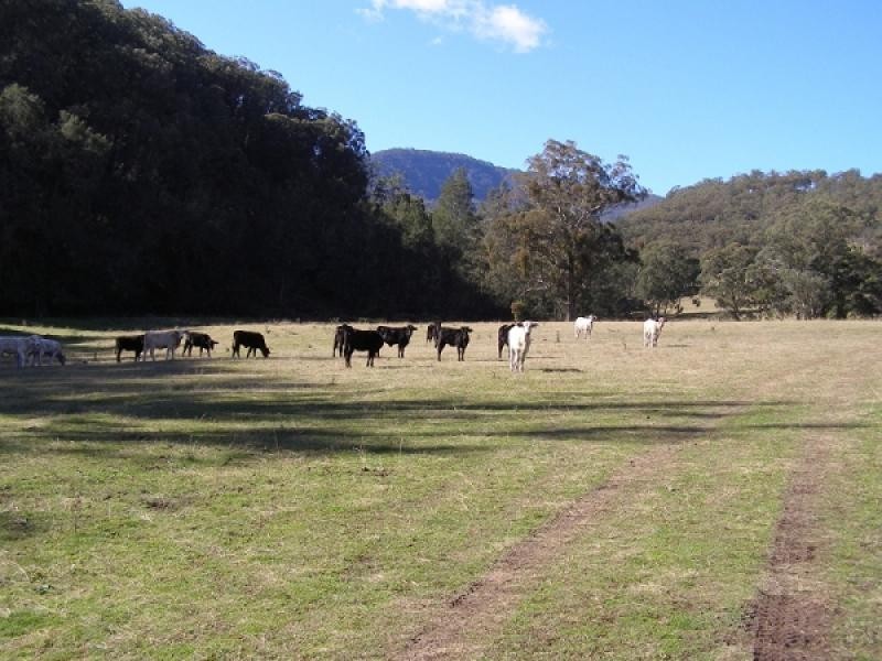 Crawney NSW 2338