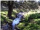 Crawney NSW 2338