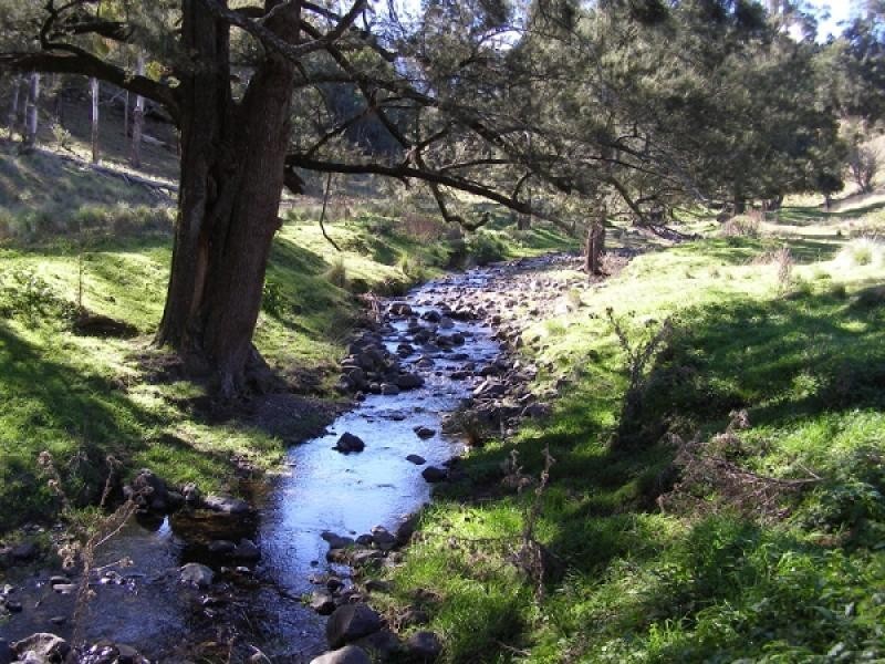 Crawney NSW 2338