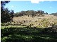 Crawney NSW 2338