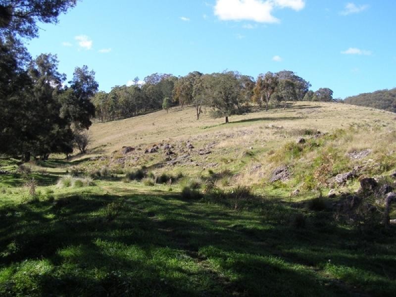Crawney NSW 2338