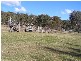Crawney NSW 2338