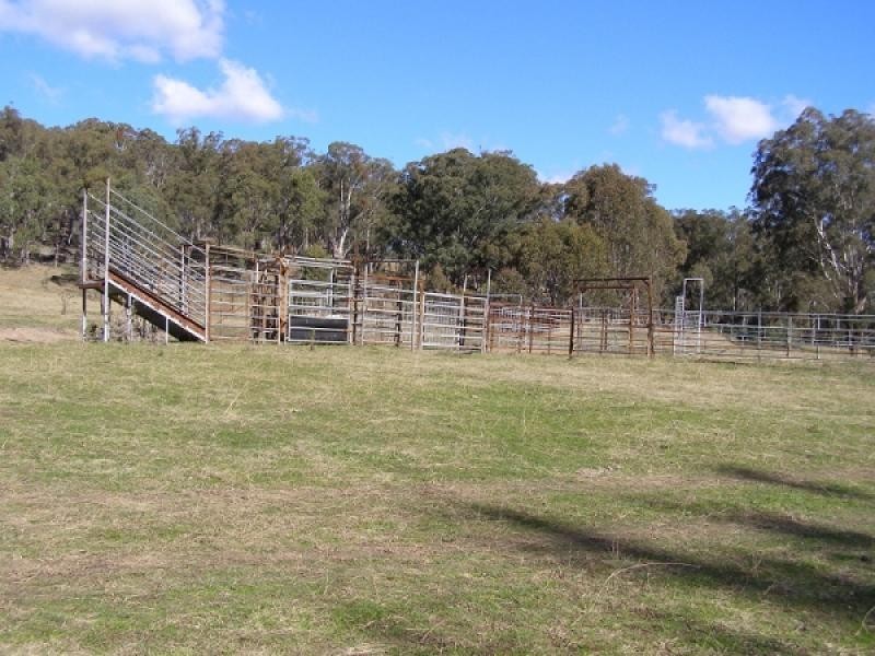 Crawney NSW 2338