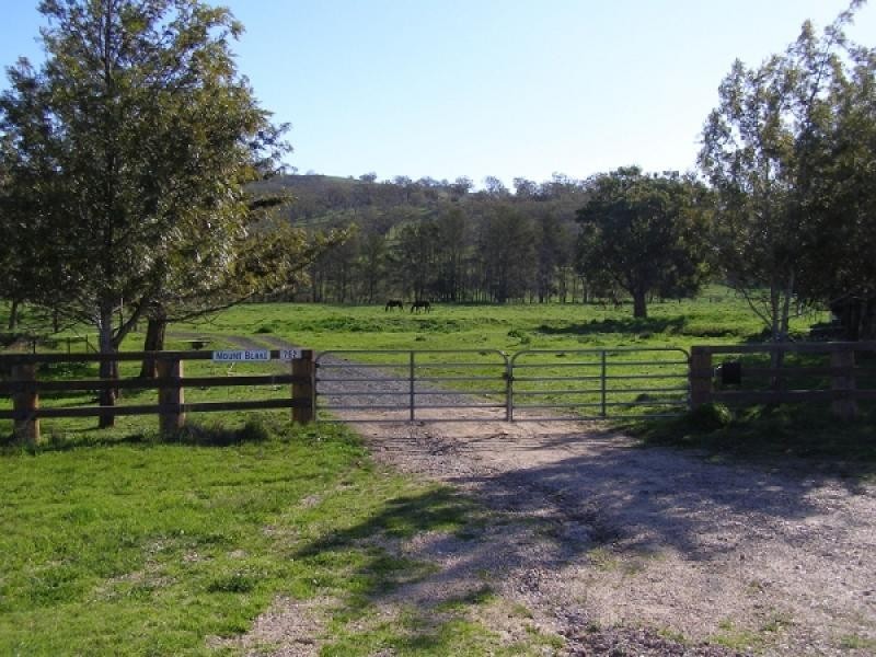 Warrah Creek NSW 2339