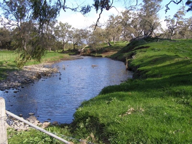 Warrah Creek NSW 2339