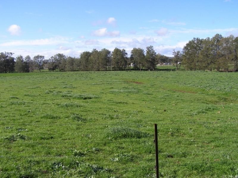 Warrah Creek NSW 2339