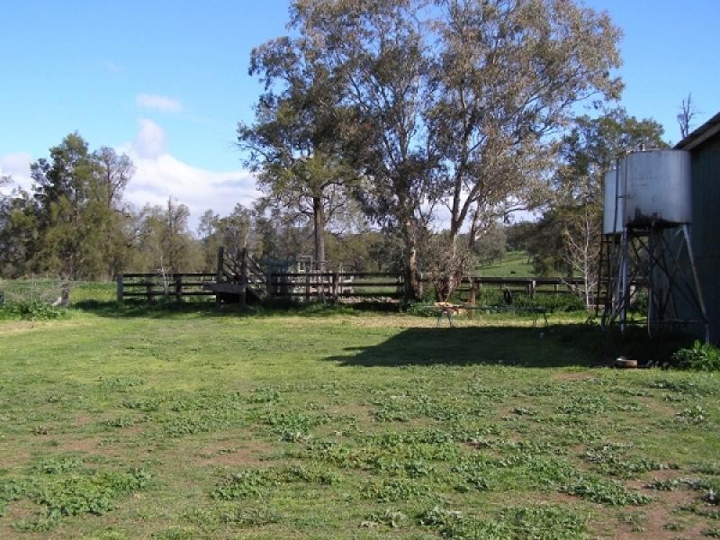 Warrah Creek NSW 2339