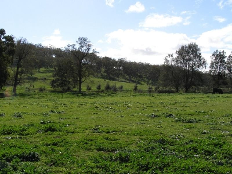 Warrah Creek NSW 2339