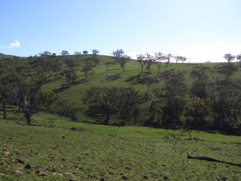 Warrah Creek NSW 2339
