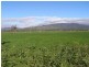 Warrah Creek NSW 2339