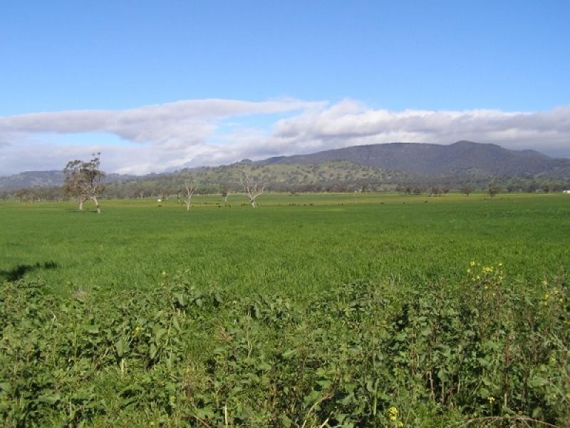 Warrah Creek NSW 2339
