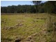 Middle Brook NSW 2337