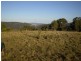 Middle Brook NSW 2337
