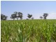 Merriwa NSW 2329