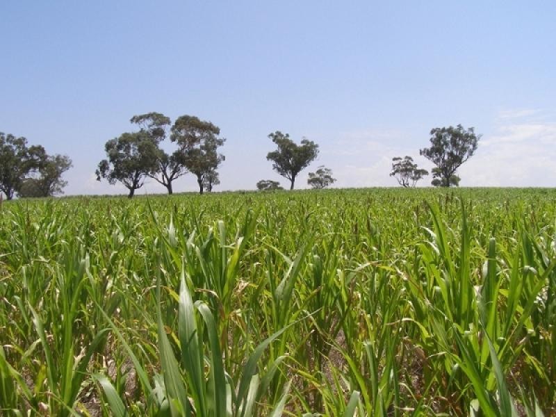 Merriwa NSW 2329