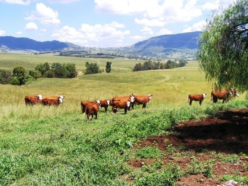 1247 Sandy Creek Road, McCullys Gap via, Muswellbrook NSW 2333