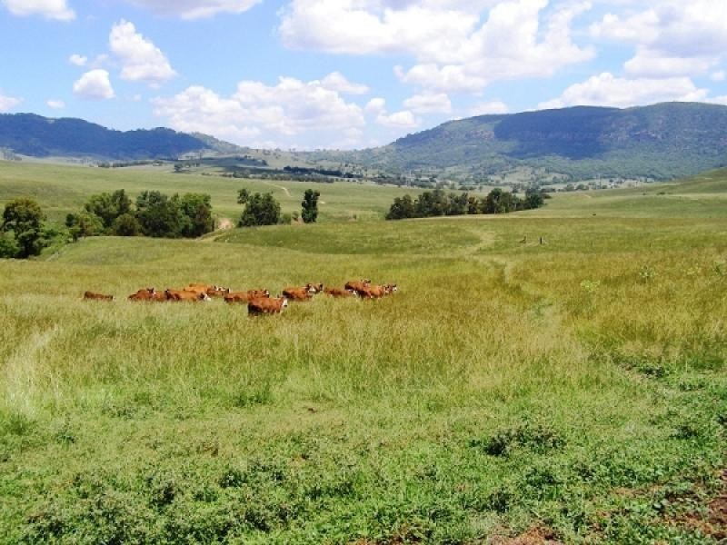 1247 Sandy Creek Road, McCullys Gap via, Muswellbrook NSW 2333