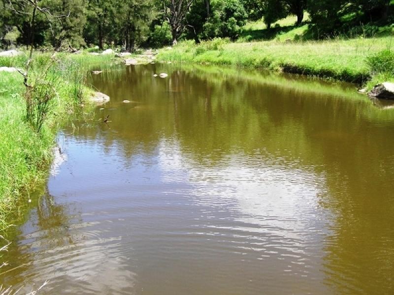 1247 Sandy Creek Road, McCullys Gap via, Muswellbrook NSW 2333