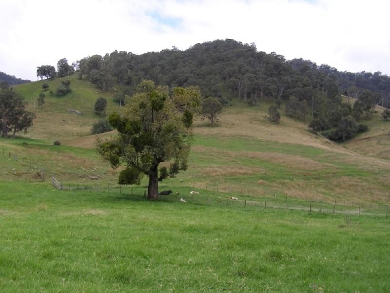 Stewarts Brook NSW 2337 the real estate agency Withdrawn