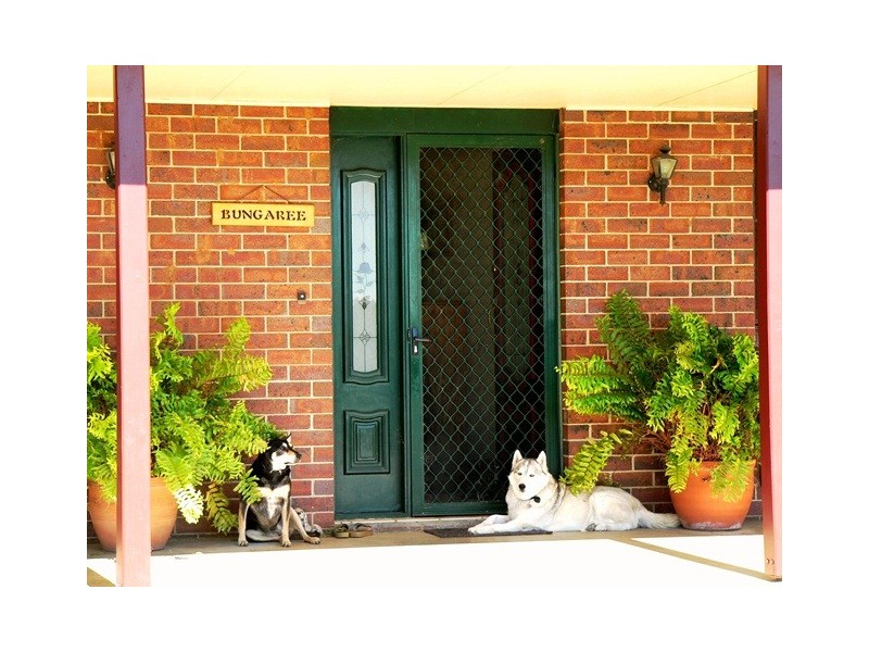 10279 Kamilaroi Highway, Gunnedah NSW 2380