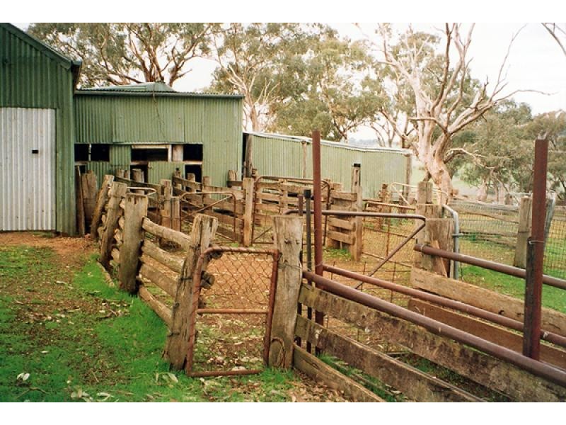 Orange NSW 2800