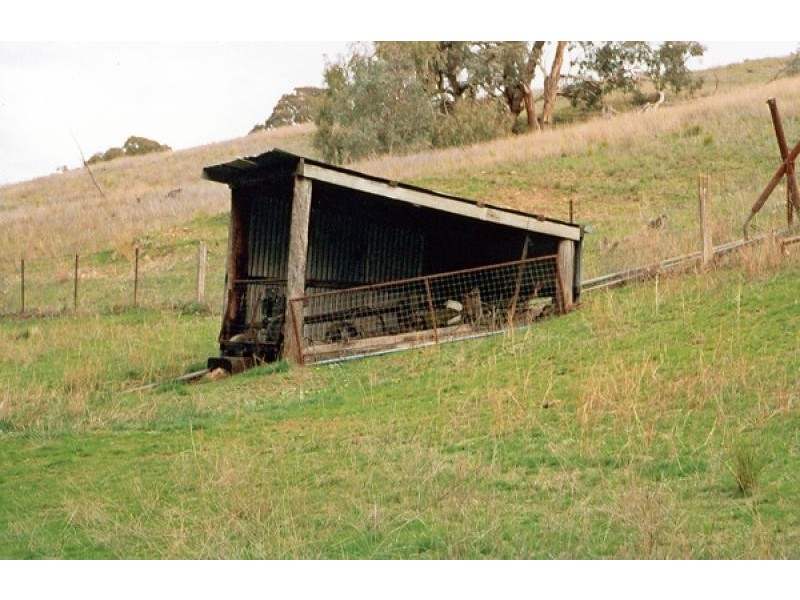 Orange NSW 2800